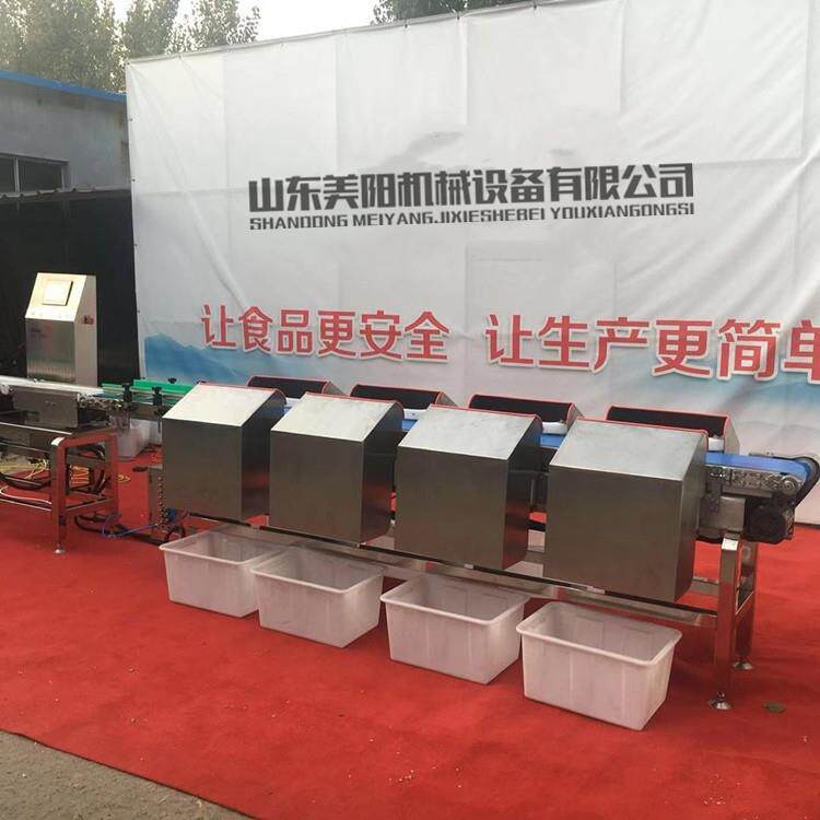 白条鸡鸭皮带式重量分级机带鱼鱿鱼称重分拣机冻品鸡爪大小分选机