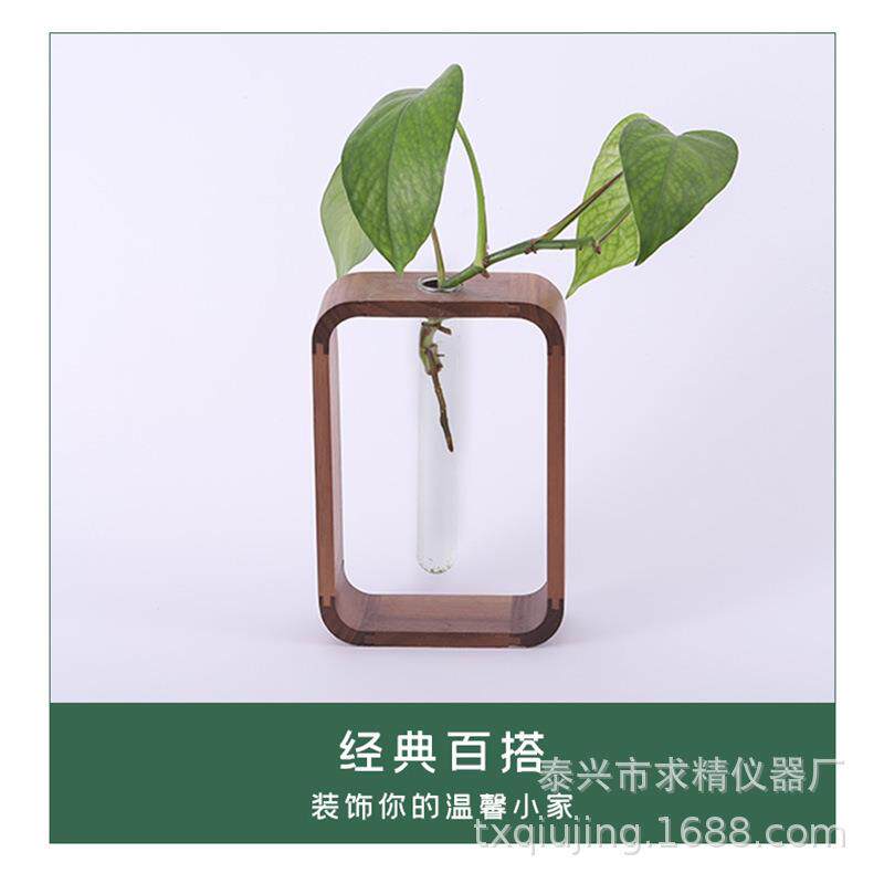 北欧胡桃木时尚客厅透明玻璃绿萝植物水培花器桌面摆台装饰摆件品