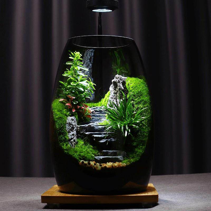 苔藓微景观生态瓶造景植物雨林创意小摆件桌面森林玻璃养鱼生态缸