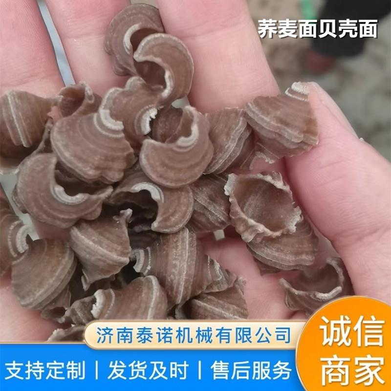 出口单螺杆贝壳面加工设备意大利面挤出机