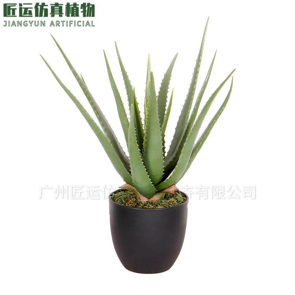 手感软胶加厚叶片高端大型多肉盆栽造景绿植装饰植物99%仿真芦荟