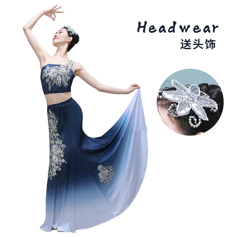 正品尾新傣族舞蹈表鱼演服女艺考试练习服，孔雀舞裙，，渐变修身