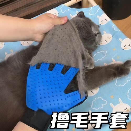 撸猫手套猫狗梳子狗狗去除浮毛洗澡手套猫咪梳毛神器猫咪用品大全