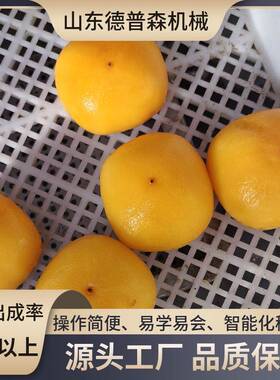 大型果蔬预处理用去皮机商用番茄柿子胡萝卜蒸汽去皮机