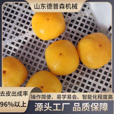 大型果蔬预处理用去皮机商用番茄柿子胡萝卜蒸汽去皮机