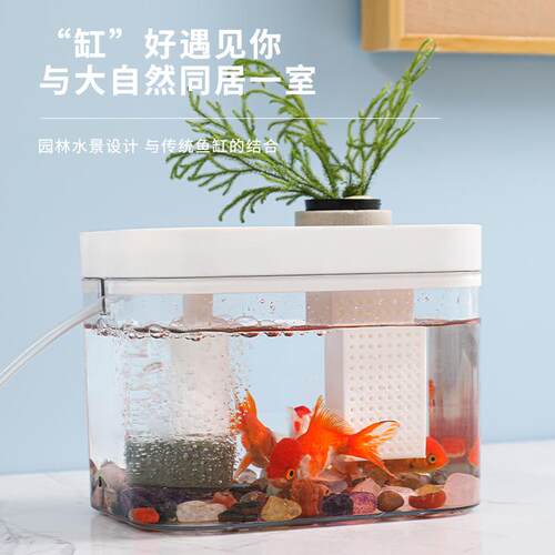鱼缸增氧打痒金鱼缸小型桌面客厅家用懒人免换水生态水族箱