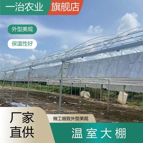 通风温室大棚蔬菜育苗养殖棚瓜棚楼顶骨架种植花卉户外遮阳大棚