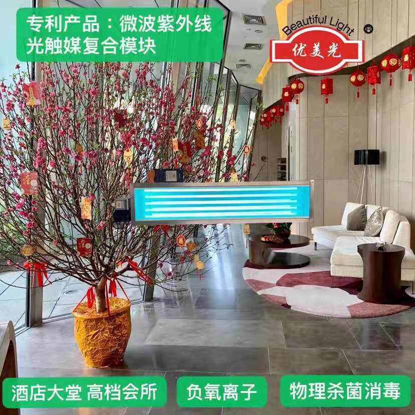释放负氧离子微波紫外线光触媒复合技术模块用于新风系统设备