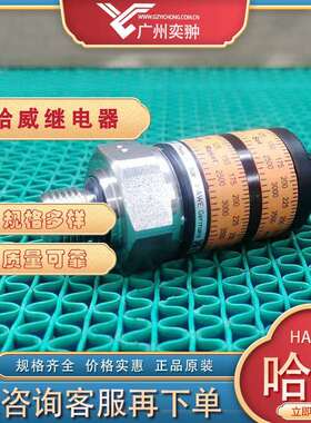 HAWE哈威DG 62 RM-MSD-T7压力继电器原装进口