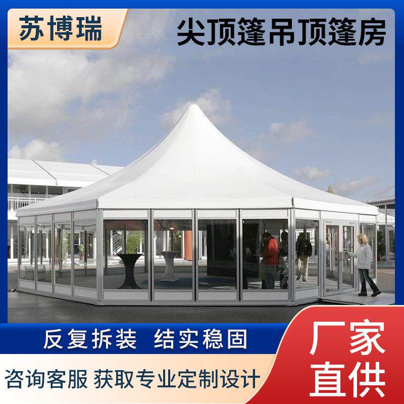 厂家直供户外活动篷房尖顶篷吊顶篷房展会大篷房活动帐篷