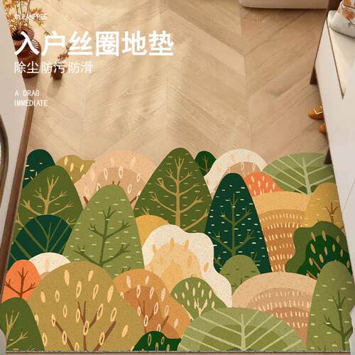入户门地垫丝圈家用脚垫田园风防滑进门玄关大门口垫子可裁剪门垫