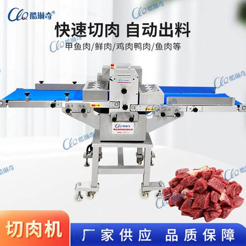 大型切肉条机CY-KT300双向输送式猪肉开条机鱼肉切块机直销