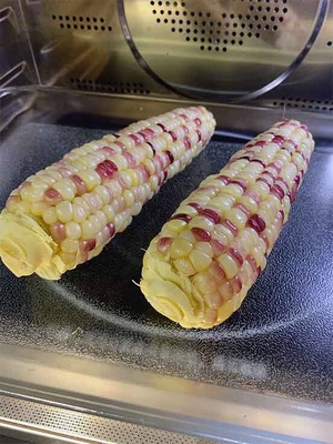 意大利有daogrs这个牌子吗？揭秘说假冒原因内幕?