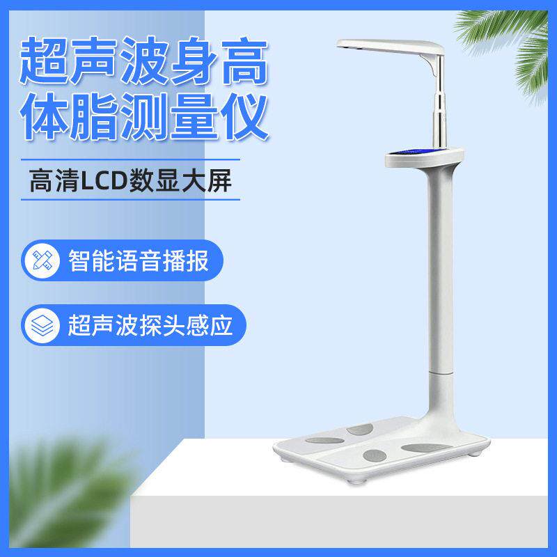 工厂定制生产超声波智能身体重秤体脂秤学校体测身体重测试仪