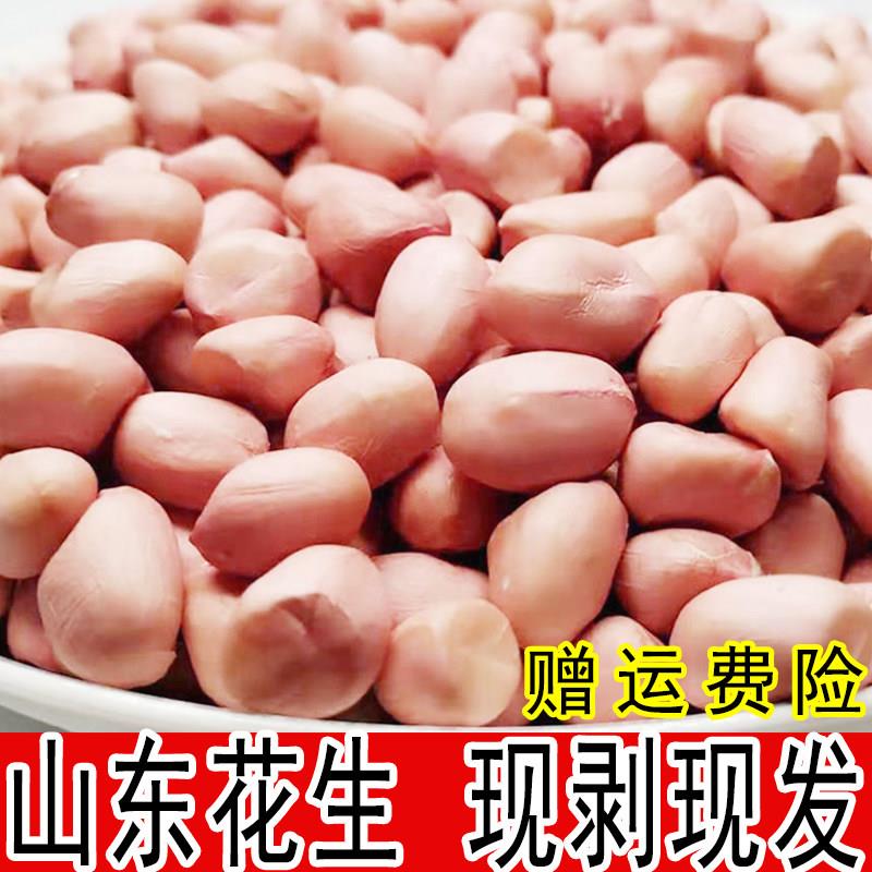 2024年新花生米白沙新货山东优质粉皮新鲜不带壳散装小粒生花生米