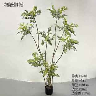 仿真绿植黄天竹高端轻奢室内客厅装饰假植物北欧风羽叶福禄桐树