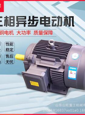三相异步YE3电动机37*45*55*75KW2*4级纯铜380V国标高速水泵配套