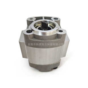 泵齿轮动力增压 凯尾板科cbqz卓g2通用5.货车齿轮油泵昌力泵 单元