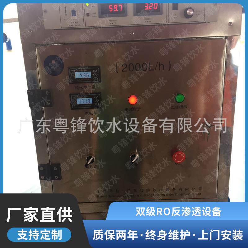 工业用超纯水处理设备全自动EDI超纯水设备双级RO反渗透设备