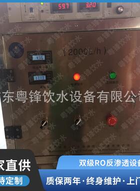 工业用超纯水处理设备 全自动EDI超纯水设备 双级RO反渗透设备