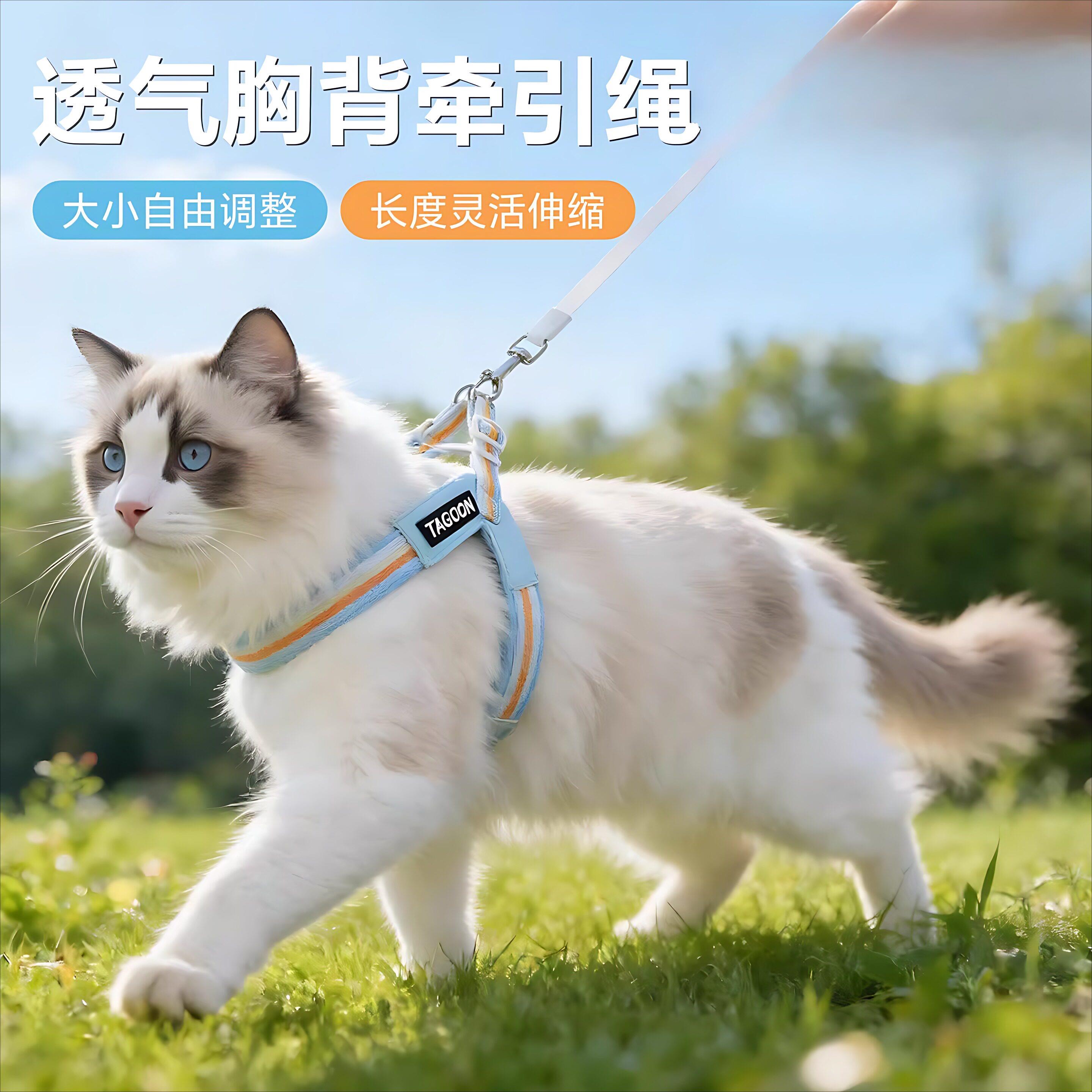 猫咪牵引绳防挣脱小猫外出专用溜猫绳宠物遛猫抱婴袋自动伸缩可调