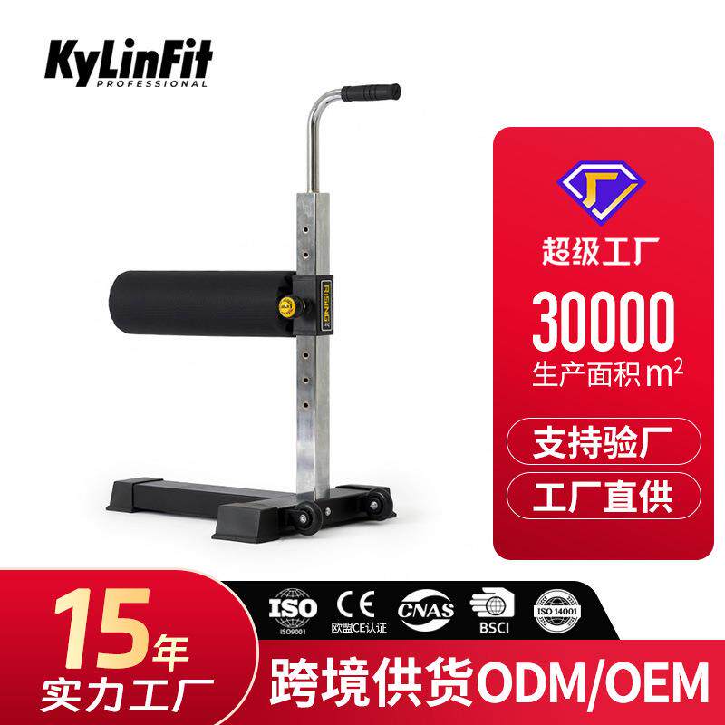 健身训练用单腿训练深蹲辅助器材工厂直销