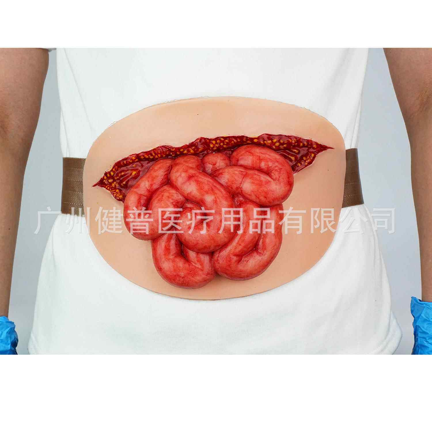 教学模型穿戴式小肠模型露出来小肠护理模型仿真人体肠模型