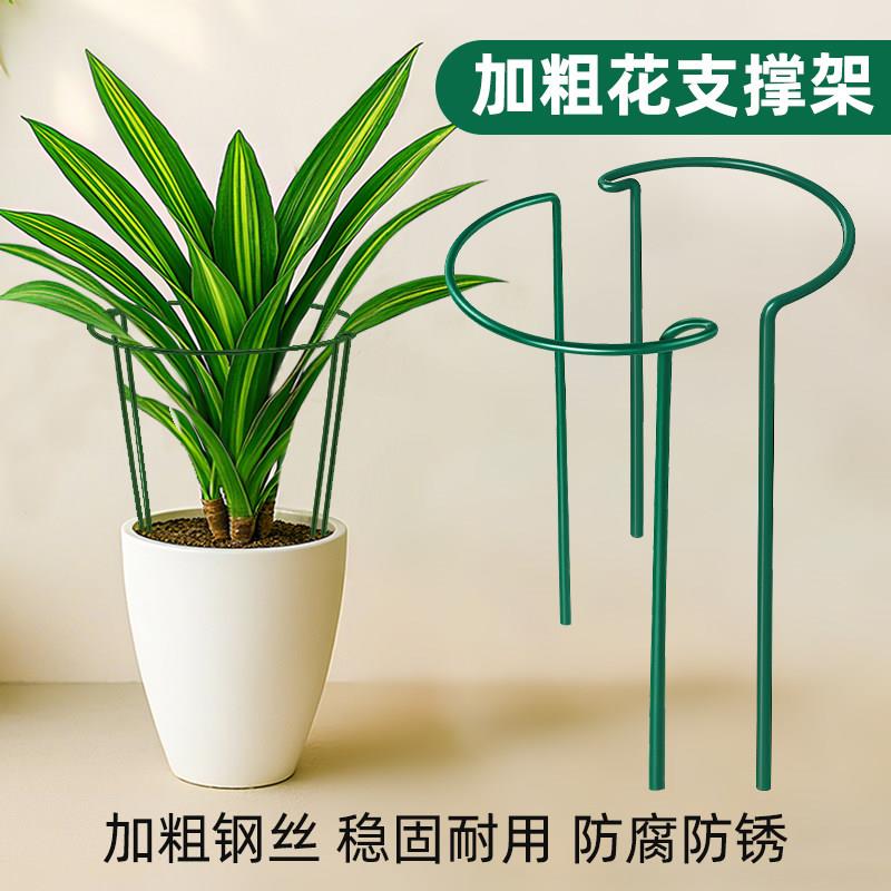 花支撑架花架支伸缩杆花架花卉龟背芋防倒伏虎皮兰护花聚拢防倒伏图片