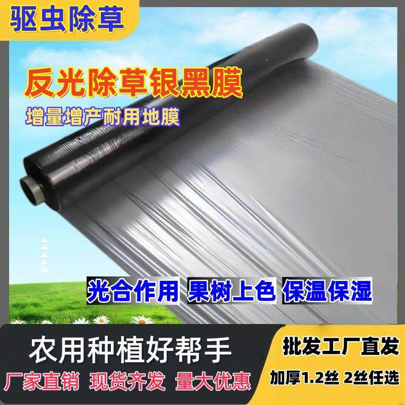 银黑双色反光地膜果树草莓西瓜专用防长草加厚农用种菜园银黑地膜