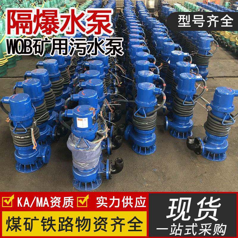 WQB隔爆型潜污水泵 高扬程小型潜水排污泵 矿用隔爆型潜污水电泵