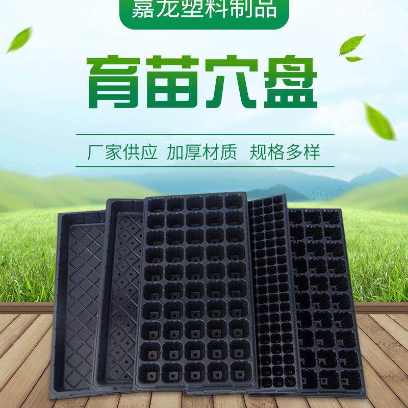现货育苗穴盘 育苗盆 园艺加厚长方形育苗盆 蔬菜芽多肉花盆