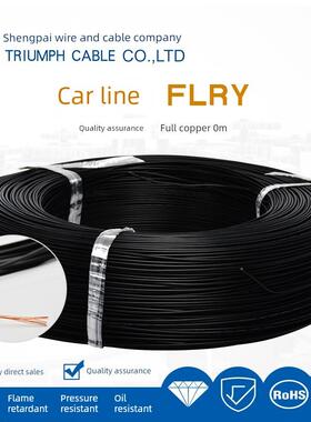 胜牌德标FLRY-A-B薄壁低压线耐高温汽车发动机仓PVC铜芯环保电线