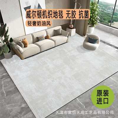 土耳其客厅地毯简约轻奢高级可洗威尔顿机织无胶卧室阳台床边地毯