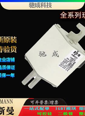 巴斯曼170M5248 170M5249 170M5250 现货直销销售价优 高速熔断器