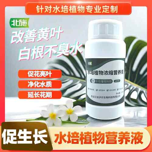 北施水培植物浓缩营养液改善黄叶生根促花亮叶观音竹富贵竹沃丞相