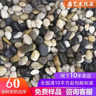 磊艺黑色鹅卵石大小黑石头庭院铺地舖路花园造景天然雨花石颗原石