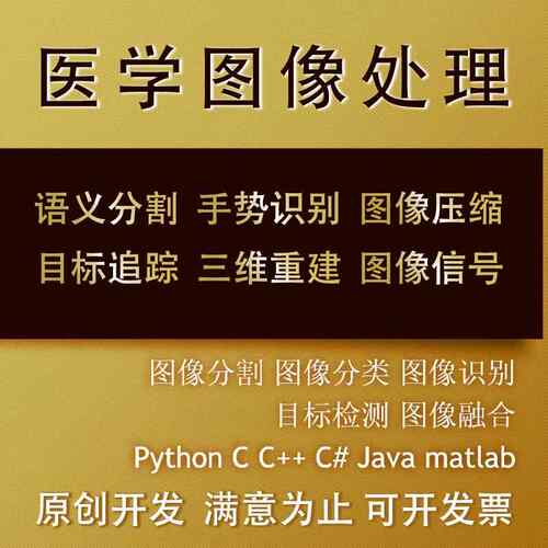matlab医学图像处理分割代编图像识别python图像深度学习语义分割