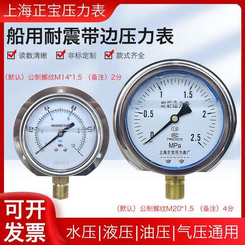 YN100T/YN60T 1.6MPa 径向带后边 耐震压力表 抗震船用压力表正宝