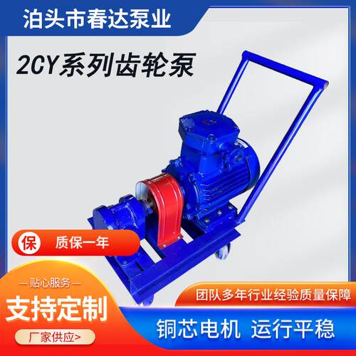 2CY高压齿轮工业泵 电动高压不锈钢齿轮泵自吸高压输送齿轮泵