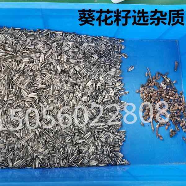 能小型瓜z-1子籽选智机葵花西瓜子吊瓜子色筛选去杂油菜籽棉籽分