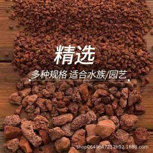 火透气 鱼缸用火污水处理兰花现货造景山石专园林大量土园艺专用