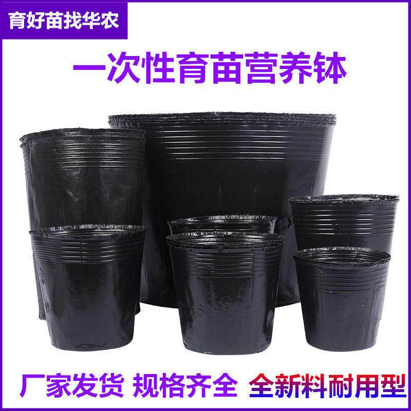 营养钵黑色塑料育苗杯一次性营养杯育苗袋脐橙杯树苗杯加厚营养杯