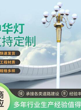 厂家8-15米LED灯中华灯室外广场亮化玉兰灯组合灯大型景观灯