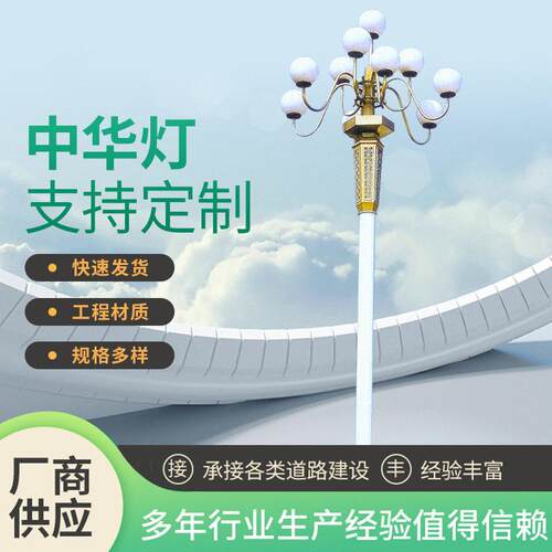 厂家8-15米LED灯中华灯室外广场亮化玉兰灯组合灯大型景观灯