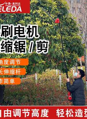 充电式高枝锯高空修剪树枝锯电动剪刀园林果树修剪伸缩加长高枝锯