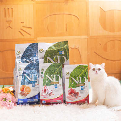 逗哒乐 法米娜猫粮试吃装Farmina法明娜成幼猫分装小样体验装500g