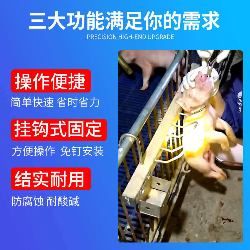 小猪挂猪架猪用断尾灌药滴鼻剪牙挂钩固定架仔猪阉割架打针固定器
