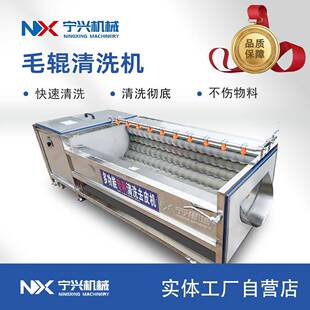 小型多功能甜菜地瓜毛辊清洗机天麻清洗设备花生去泥机器