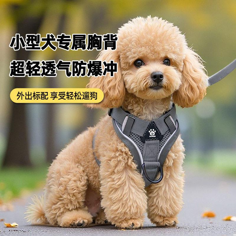 牵引绳防挣脱不勒脖狗背心式胸背带猫狗通用遛狗宠物缅因猫牵引绳