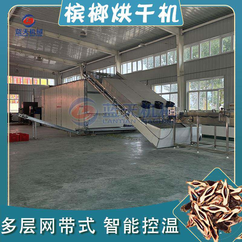全自动槟榔青果干燥机 大型槟榔半成品烘干设备 网带青槟榔烘干机